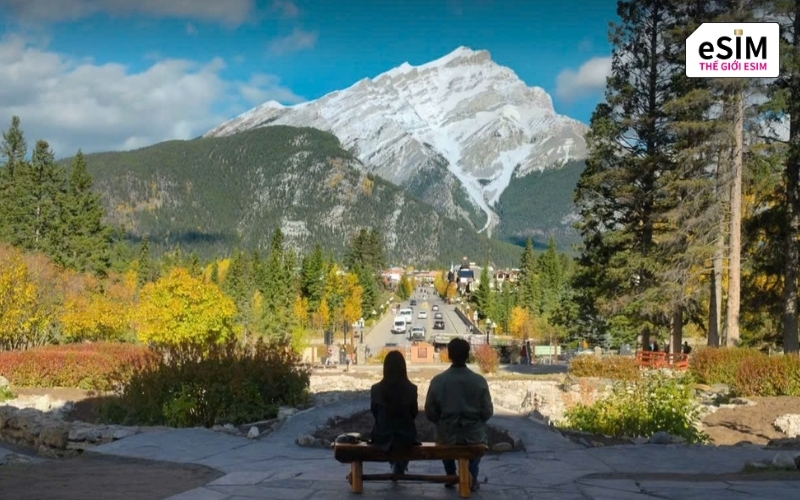 Alberta gây ấn tượng với cao nguyên rộng lớn, rừng thông bạt ngàn và những cung đường bất tận.